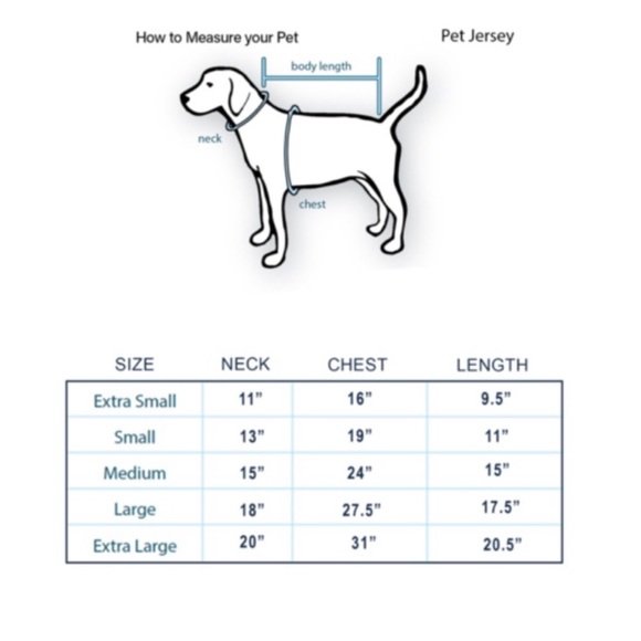 New York Giants Little Earth Production - Picture 7 of 7